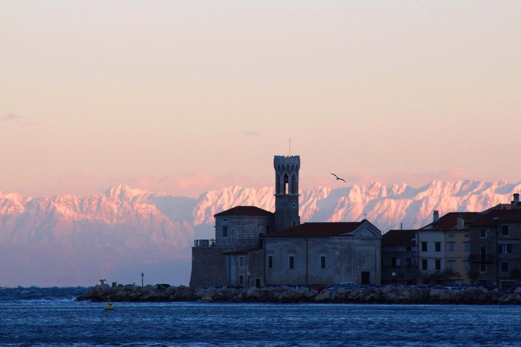 Terra Apartments Piran Exteriér fotografie